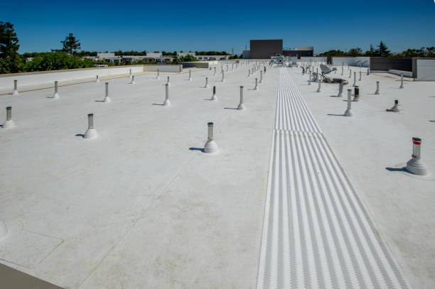 Best Roofing for New Construction  in Ferdand, IN